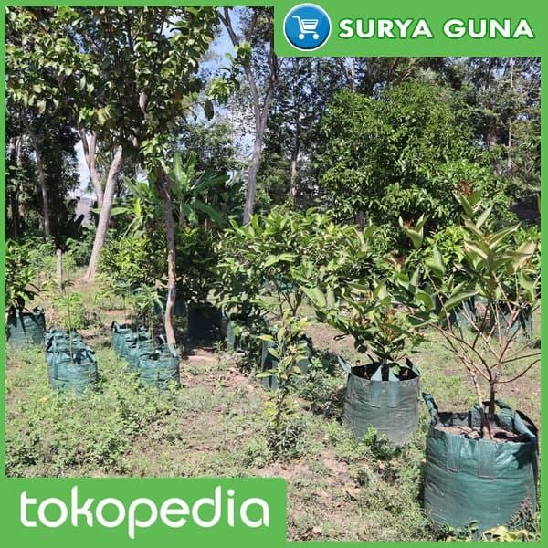 Gambar Planter Bag Eceran Ukuran 30 Liter dari Suryaguna Store Kab. Tulungagung Tokopedia
