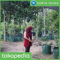 Gambar Planter Bag Kelengkeng 75 Liter dari Suryaguna Store Kab. Tulungagung 4 Tokopedia