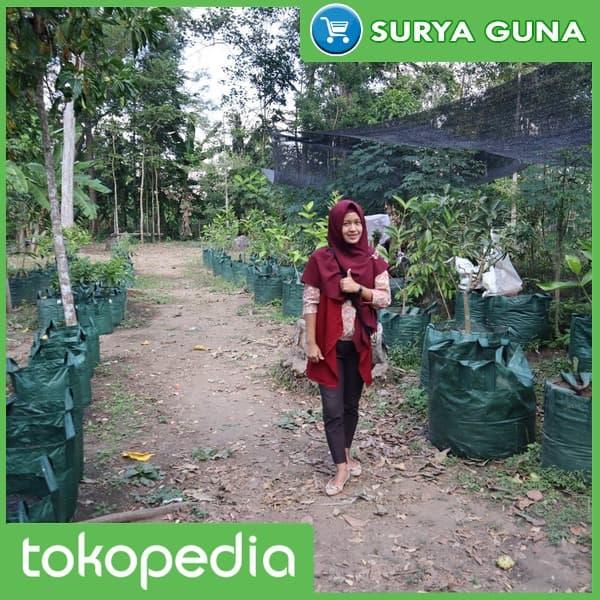 Gambar Planter Bag Sayuran 50 Liter dari Suryaguna Store Kab. Tulungagung Tokopedia