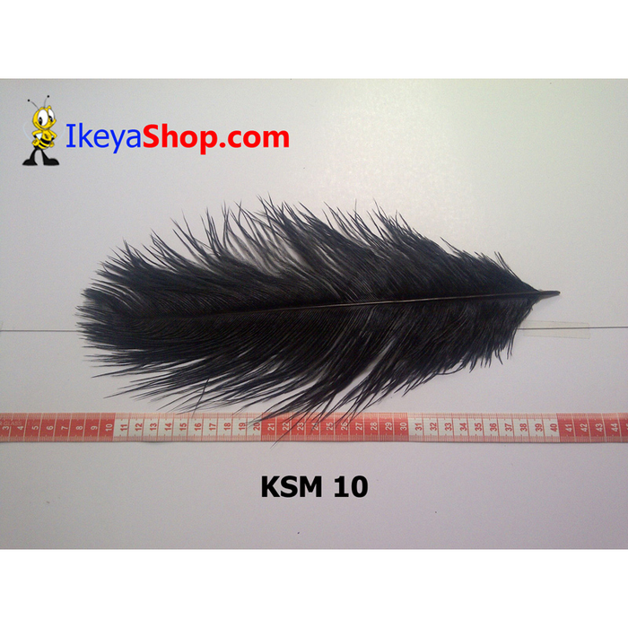 Gambar Bulu Kasuari Medium Hitam (KSM 10) dari ikeyashop Kota Surabaya Tokopedia