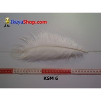 Gambar Bulu Kasuari Medium Putih tulang (KSM 6) dari ikeyashop Kota Surabaya 1 Tokopedia