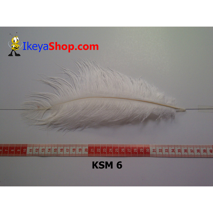 Gambar Bulu Kasuari Medium Putih tulang (KSM 6) dari ikeyashop Kota Surabaya Tokopedia