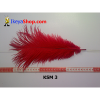 Gambar Bulu Kasuari Medium Merah (KSM 3) dari ikeyashop Kota Surabaya 1 Tokopedia
