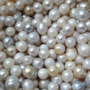 Mutiara Laut