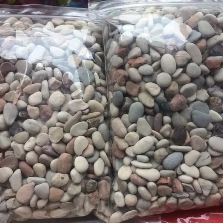 BATU KORAL HIAS TAMAN PANCA WARNA