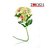 Gambar Tokyo1 Bunga Plastik Hydrangea Green 80Cm (241759) dari TOKYO 1 Kota Administrasi Jakarta Utara 3 Tokopedia