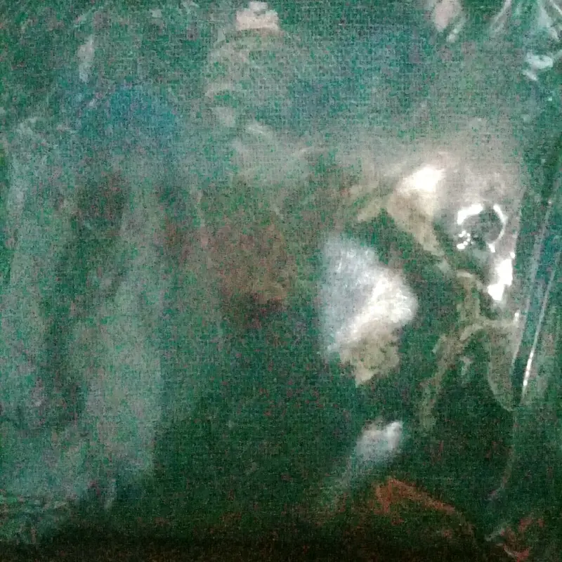 karbon aktif 1/2 kg 1