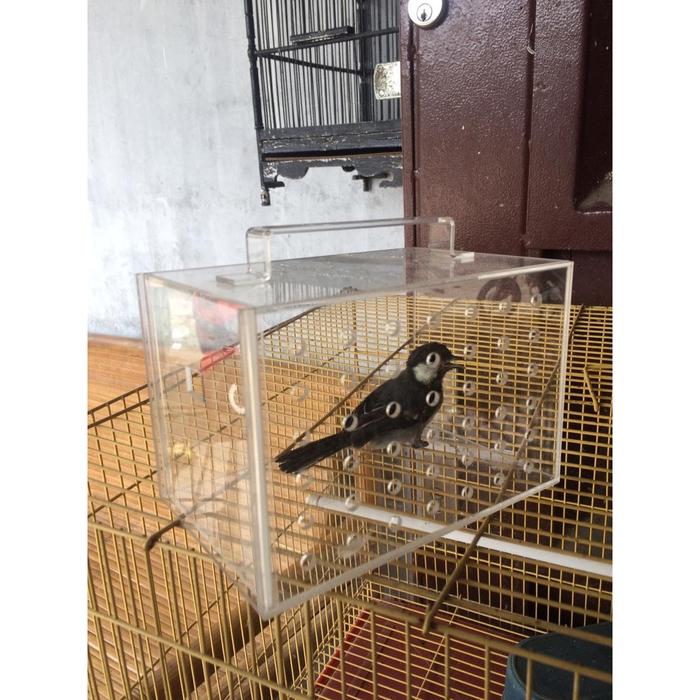 Gambar Kandang Burung Akrilik dari IDELIOID Kab. Deli Serdang Tokopedia