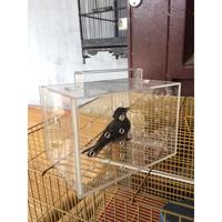 Gambar Kandang Burung Akrilik dari IDELIOID Kab. Deli Serdang 2 Tokopedia