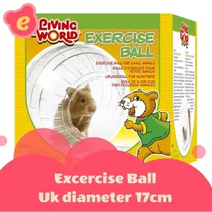 Bola latihan Medium hamster gerbil sugar glider tikus Living World