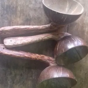 CENTONG NASI PADANG/BATOK