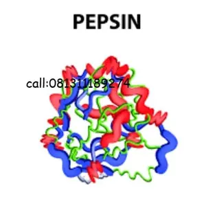 Enzim Pepsin 100g