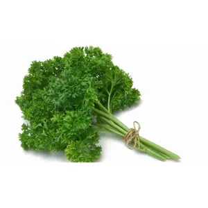 Daun Peterseli Parsley Segar 100gr Rempah Alami