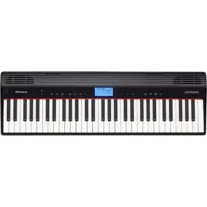 Roland GO-Piano DIGITAL PIANO (GO-61P)