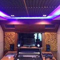 Gambar Panel Akustik - Arc Skyline Diffuser Acoustic Panel dari SAG Acoustics Kota Bekasi 3 Tokopedia