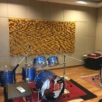 Gambar Panel Akustik - Arc Skyline Diffuser Acoustic Panel dari SAG Acoustics Kota Bekasi 1 Tokopedia