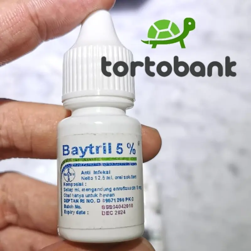 Baytril 5% Obat pilek kura / Obat flue kura / Obat flu kura 4