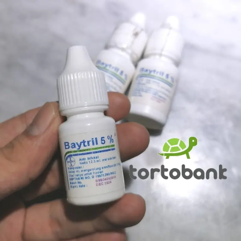 Baytril 5% Obat pilek kura / Obat flue kura / Obat flu kura 3