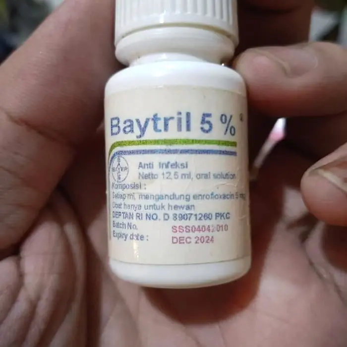 Baytril 5% Obat pilek kura / Obat flue kura / Obat flu kura 1