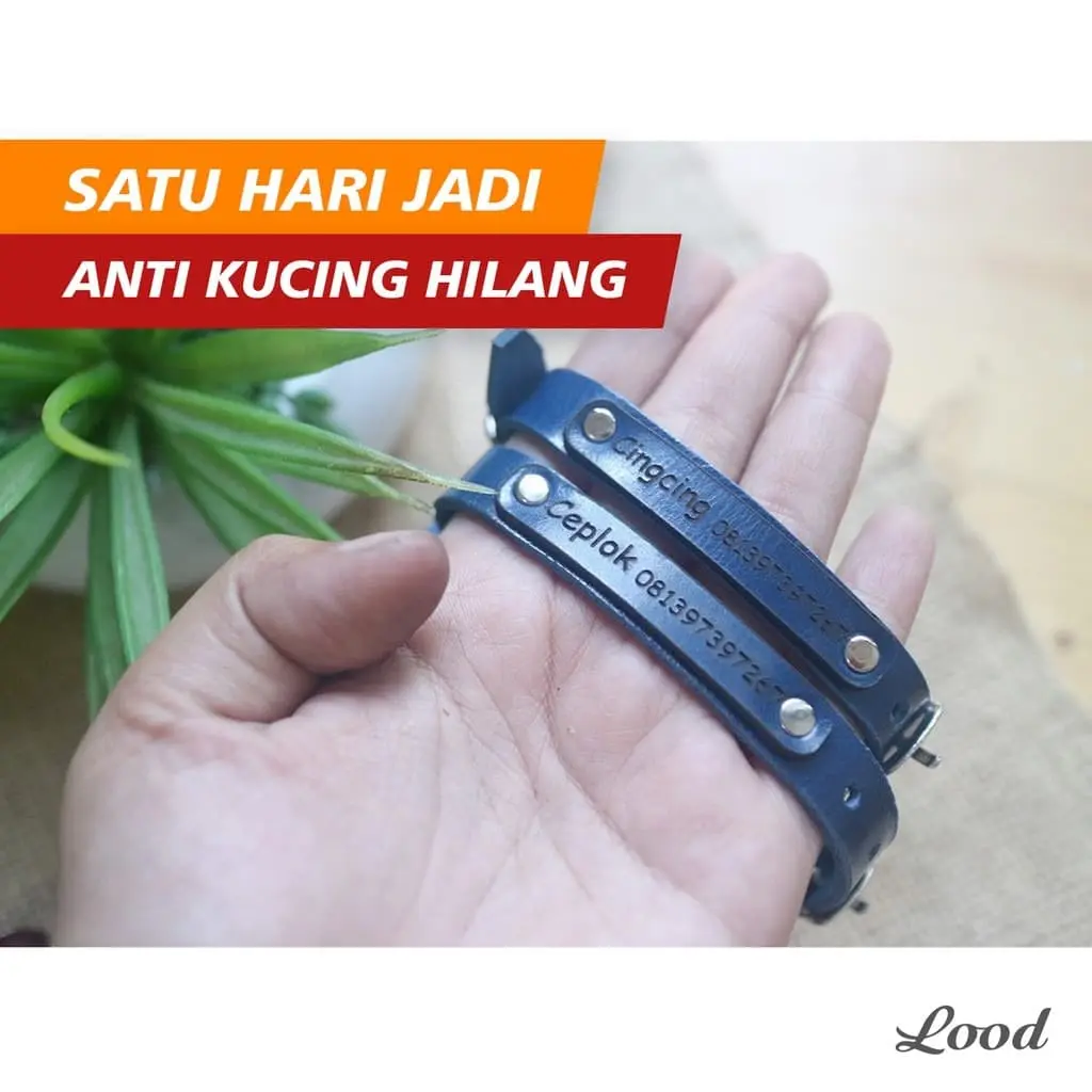 kalung kucing ukiran tag di tali