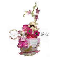 Gambar Parcel Newborn - Parcel Lahiran Anak Baby Gift Parcel Newborn 119 - 001 dari Gaby Bella Florist Kota Administrasi Jakarta Selatan 1 Tokopedia