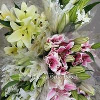Gambar Casablanca lily fresh. - 7017 Bunga lili asli. Lily fresh kuntum. dari Gaby Bella Florist Kota Administrasi Jakarta Selatan 1 Tokopedia