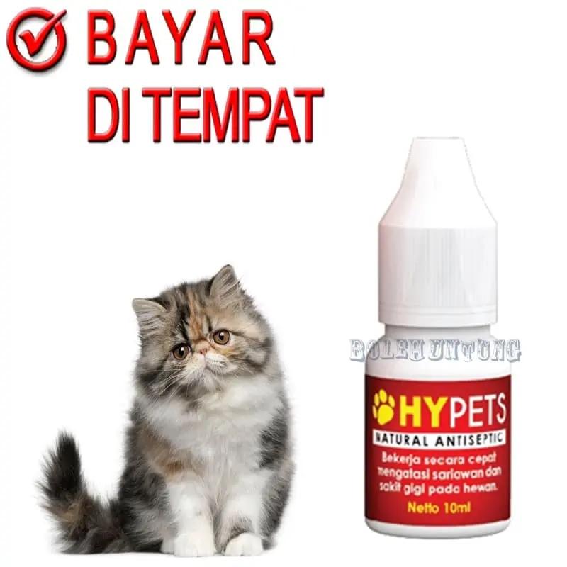 HYPETS OBat Sariawan Kucing Anjing Bau Mulut Radang Tenggorokan