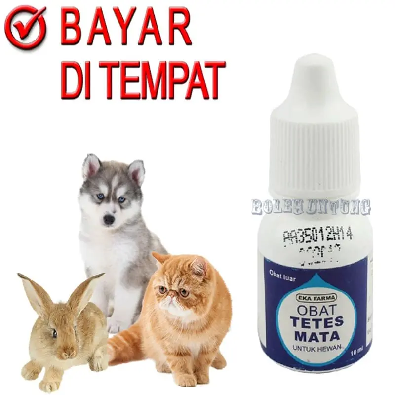 OBAT TETES MATA HEWAN Kucing Anjing Musang Kelinci Sakit Iritasi Ringan Merah Belek Berair