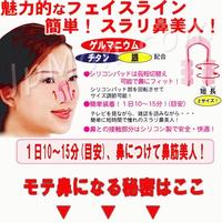 Gambar Nose-Up Clipper: Penjepit / Pemancung Hidung dari Dunia Jasmine Kota Surabaya 2 Tokopedia