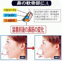 Gambar Nose-Up Clipper: Penjepit / Pemancung Hidung dari Dunia Jasmine Kota Surabaya 3 Tokopedia