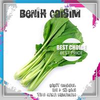 Gambar BENIH CAISIM UNGGUL dari @tokoiqbal Kab. Bogor 1 Tokopedia