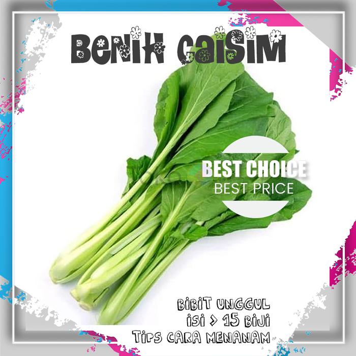 Gambar BENIH CAISIM UNGGUL dari @tokoiqbal Kab. Bogor Tokopedia