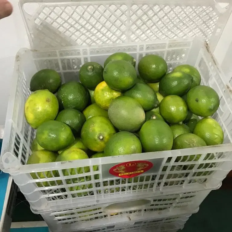GROSIR TERMURAH 1kg Lemon California Buah Jeruk Lemon Super 2
