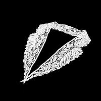 Gambar Torenda Renda Kerah Motif Ukir Daun Rambat (white) / Set -NA16504 dari Torenda Kota Administrasi Jakarta Pusat 3 Tokopedia