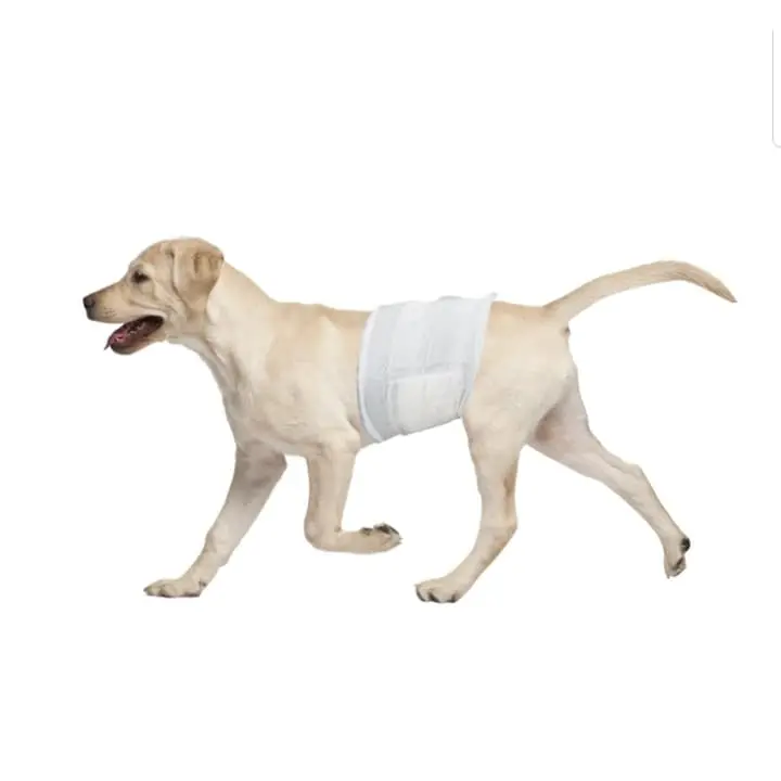 Pampers Anjing Jantan Size L Sekali Pakai isi 12pcs