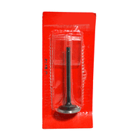 Gambar Valve Inlet - All New CBR 250RR 14711K64N00 dari Honda Cengkareng Kota Tangerang 2 Tokopedia