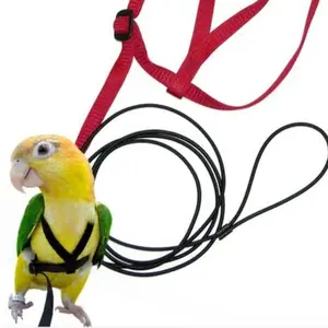 Harness Adjustable For Parrots
