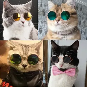 KACAMATA KUCING UNTUK PELINDUNG MATAHARI DAN GAYA-GAYAAN LUCU