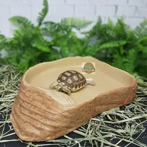 Water Dish / Tempat minum Reptil Kura kura / Kadal dan Ular size L