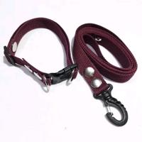Gambar KALUNG ANJING POLOS +TALI PENUNTUN dari PET_ACC Kab. Bandung Barat 1 Tokopedia