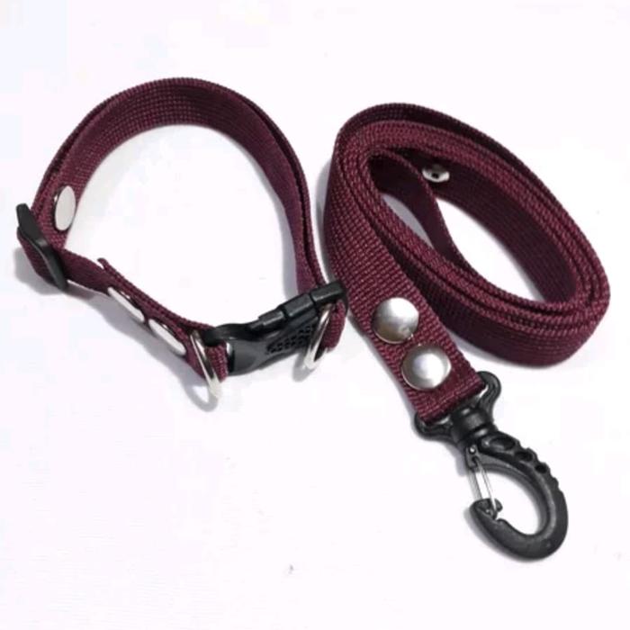 Gambar KALUNG ANJING POLOS +TALI PENUNTUN dari PET_ACC Kab. Bandung Barat Tokopedia