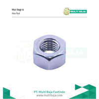 Gambar Mur Segi 6 Stainless Steel 316 M20 - 2.5 (Hex Nut) dari Multi Baja Kota Administrasi Jakarta Barat 3 Tokopedia