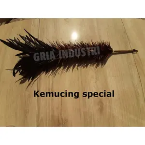 Kemoceng Special