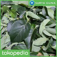 Gambar Jual Daun Alpukat untuk Teh Herbal dari Suryaguna Store Kab. Tulungagung 5 Tokopedia
