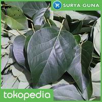 Gambar Jual Daun Alpukat untuk Teh Herbal dari Suryaguna Store Kab. Tulungagung 2 Tokopedia