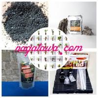 Gambar PAKET Aquascape Pemula 2 untuk Tank 30 cm dari Nagatawa Ornamental Fish Kota Administrasi Jakarta Barat 1 Tokopedia