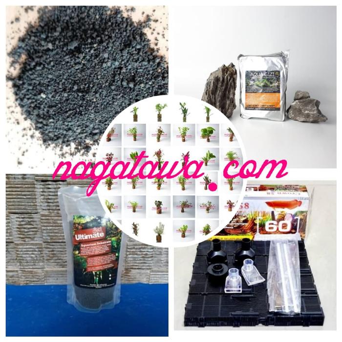 Gambar PAKET Aquascape Pemula 2 untuk Tank 30 cm dari Nagatawa Ornamental Fish Kota Administrasi Jakarta Barat Tokopedia