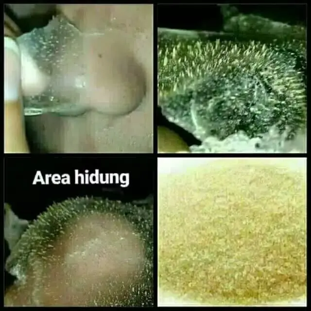 MASKER GELATIN TULANG SAPI halal PENGHILANG KOMEDO