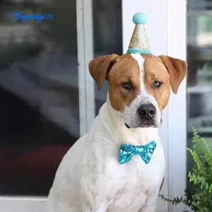 New Arrival Kostum Ulang Tahun Anjing Piaraan Topi Kerucut+Dasi