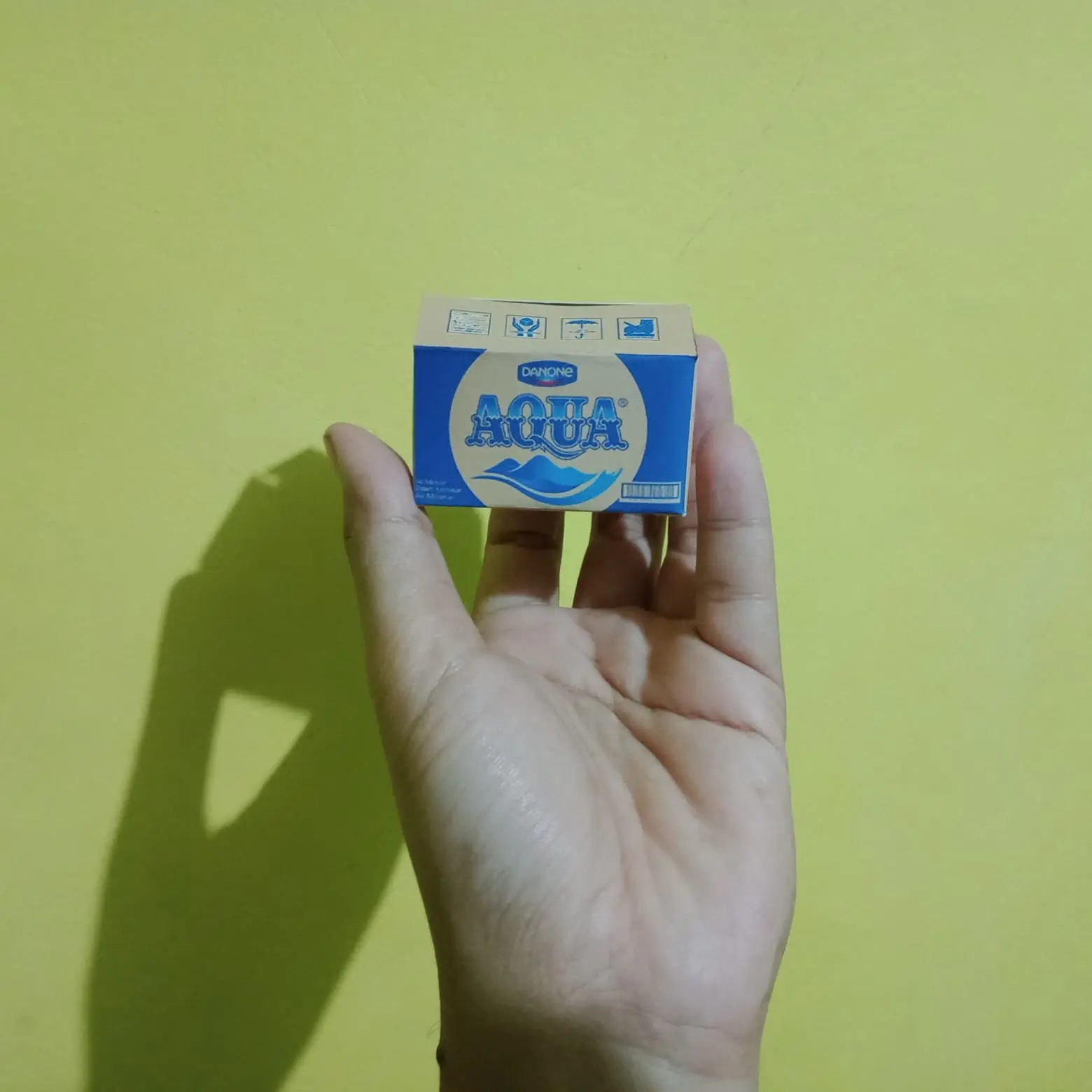Diecast Miniatur kardus Aqua skala 1 per 10